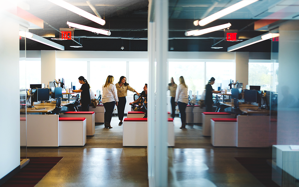 Employees in Octagon office